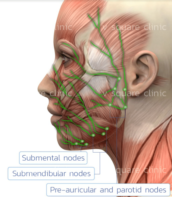 MADE Collagen 16-point injection technique