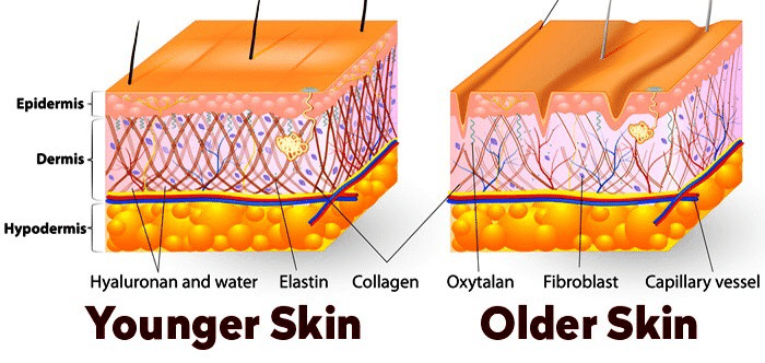 Skin Age