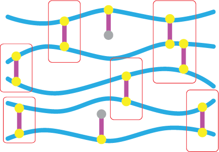Biobalance Technology