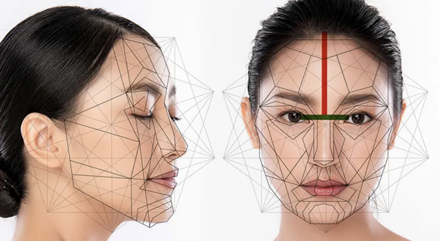 Features of Ideal Lips