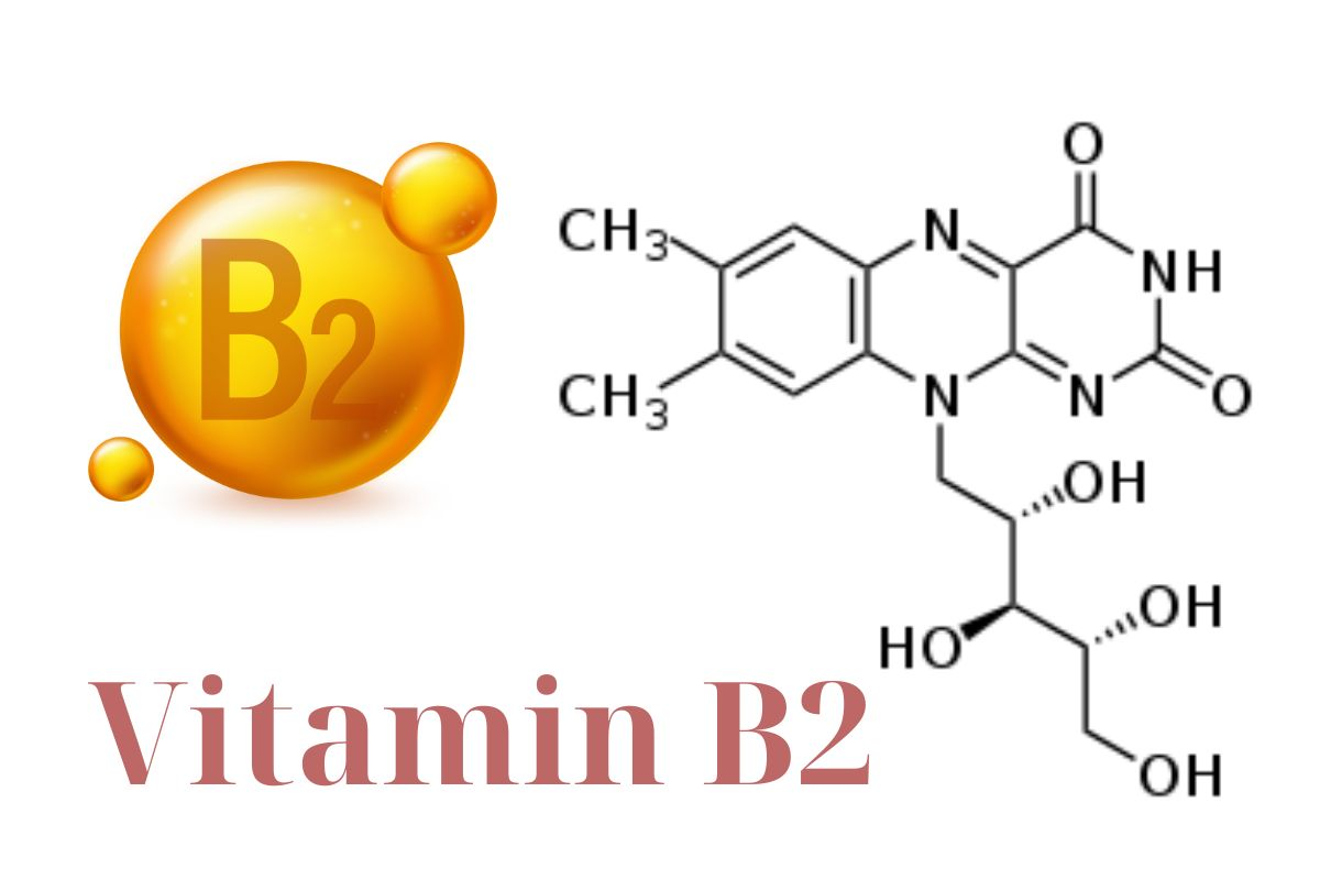 Vitamin B2