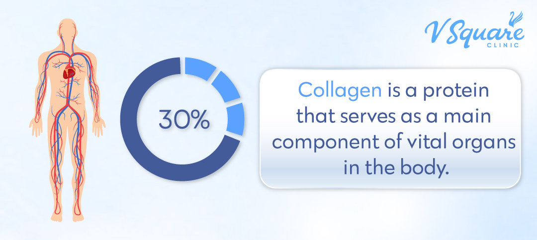 collagen in the body