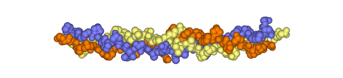 collagen molecule