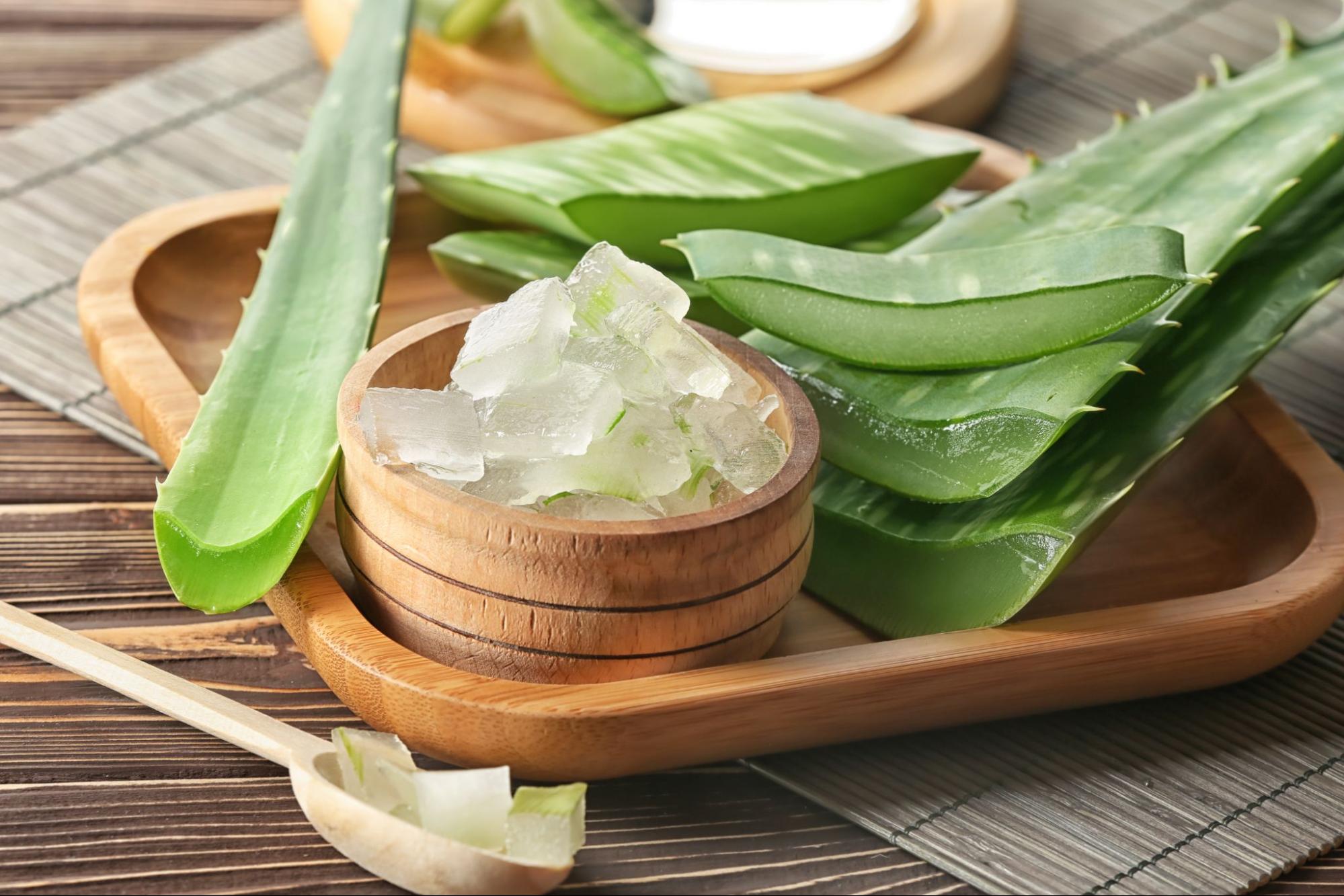 Aloe vera for acne scar reduction