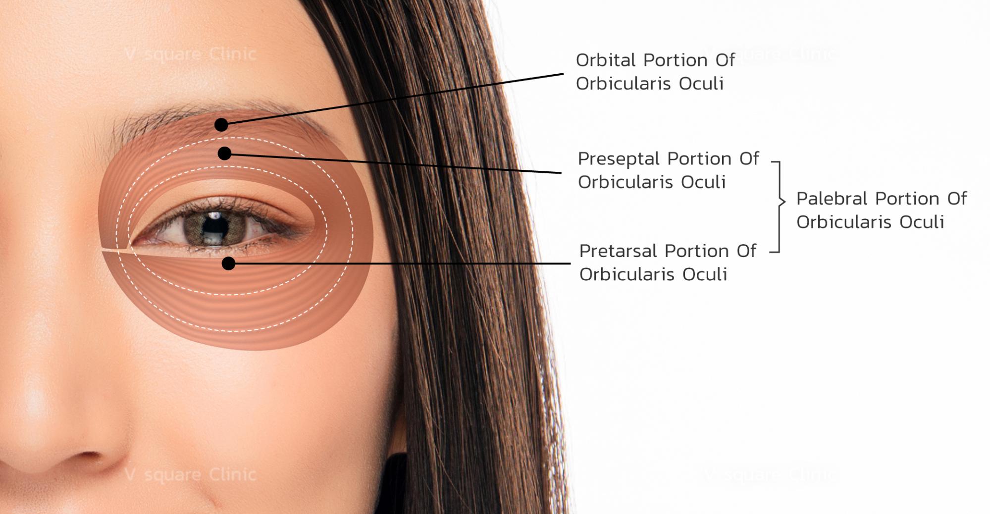 Dolly Eyes appearance
