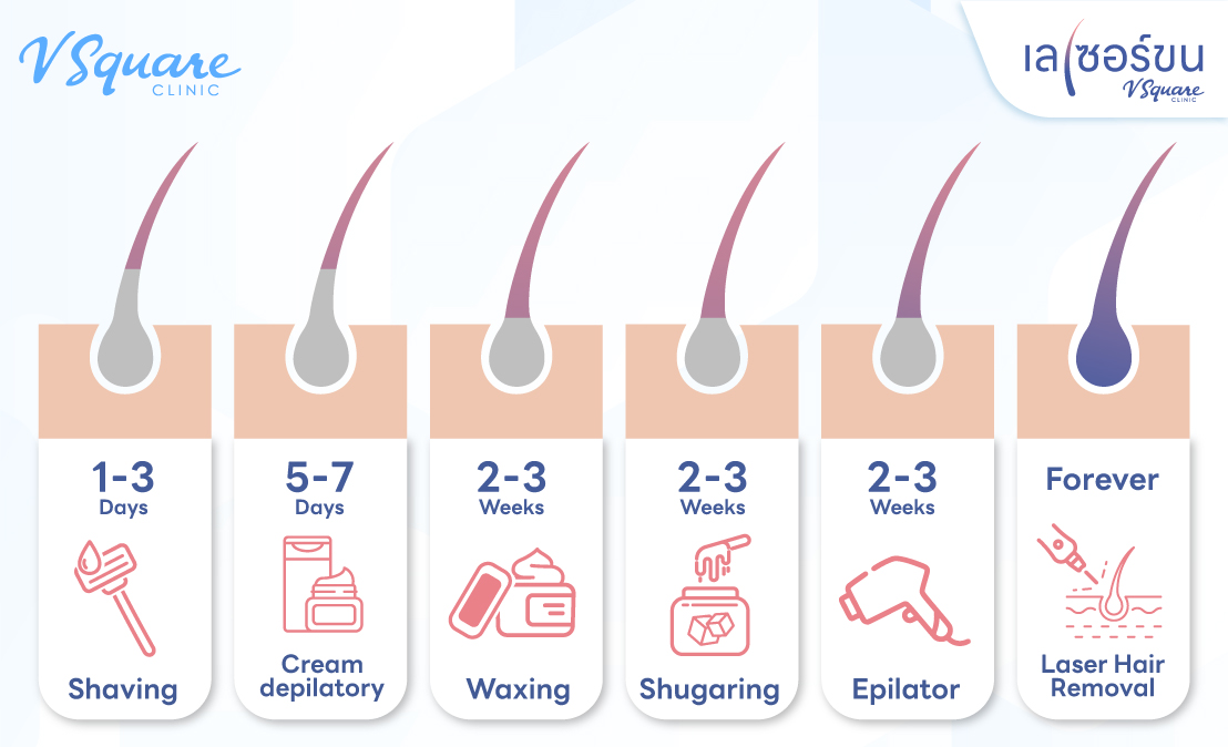 Hair regrowth timeline by method